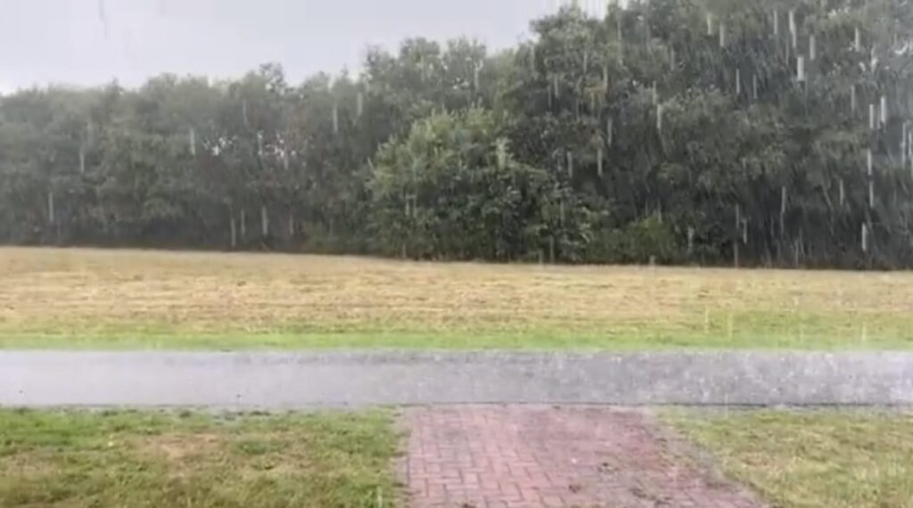 WhatsApp Image 2025 05 20 at 140143jpg