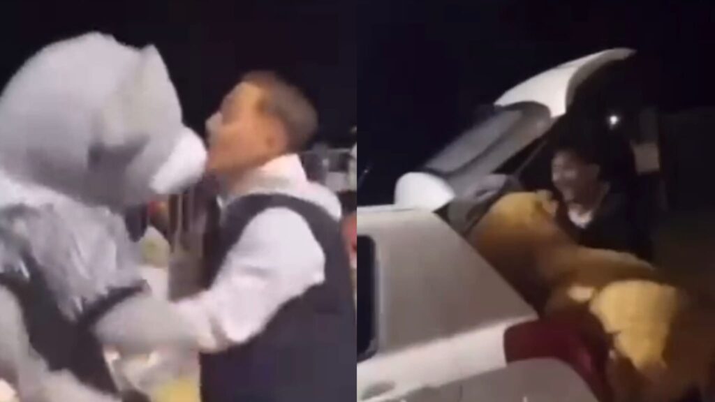 WhatsApp Image 2025 05 26 at 105820jpeg