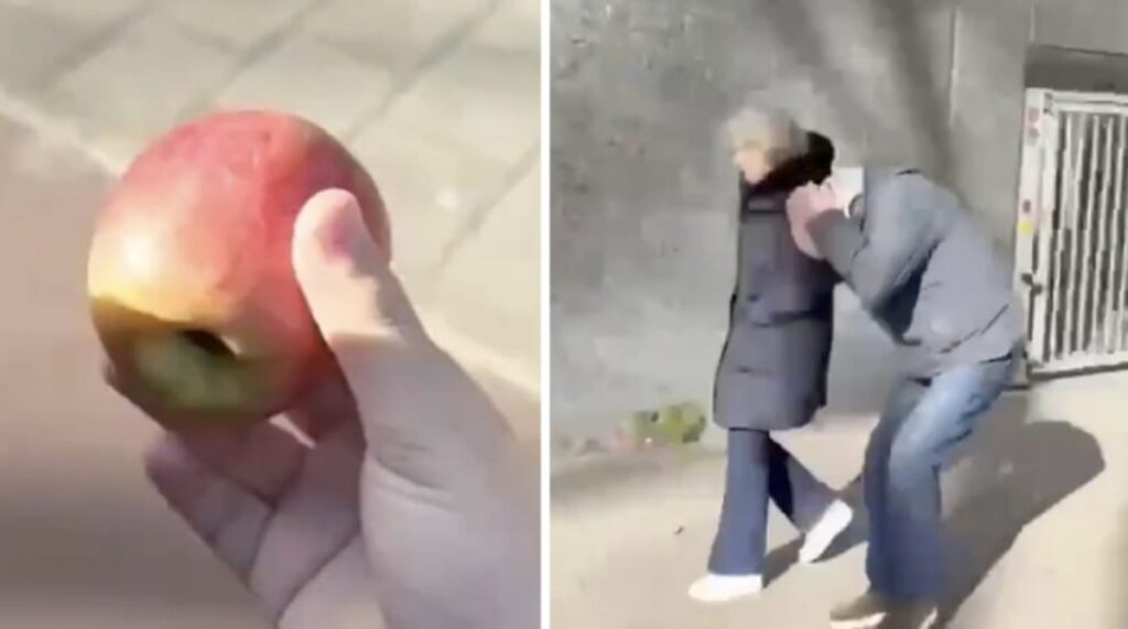 WhatsApp Image 2025 06 01 at 080805jpg