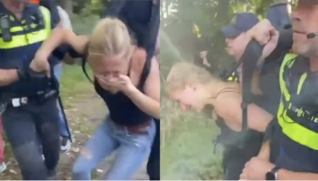 WhatsApp Image 2025 06 27 at 094847jpg