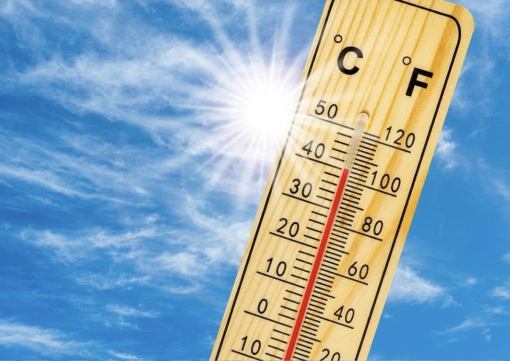 WhatsApp Image 2025 06 30 at 160707jpg