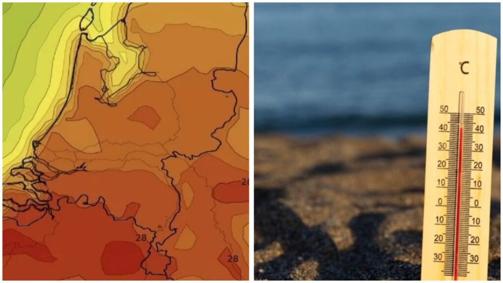 WhatsApp Image 2025 07 03 at 141947jpeg