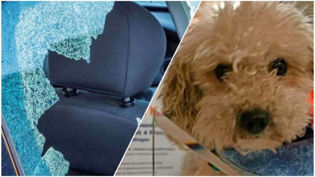 WhatsApp Image 2025 07 13 at 184354jpeg