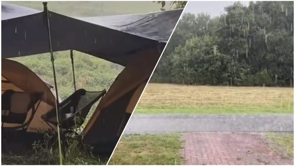 WhatsApp Image 2025 07 14 at 100213jpeg