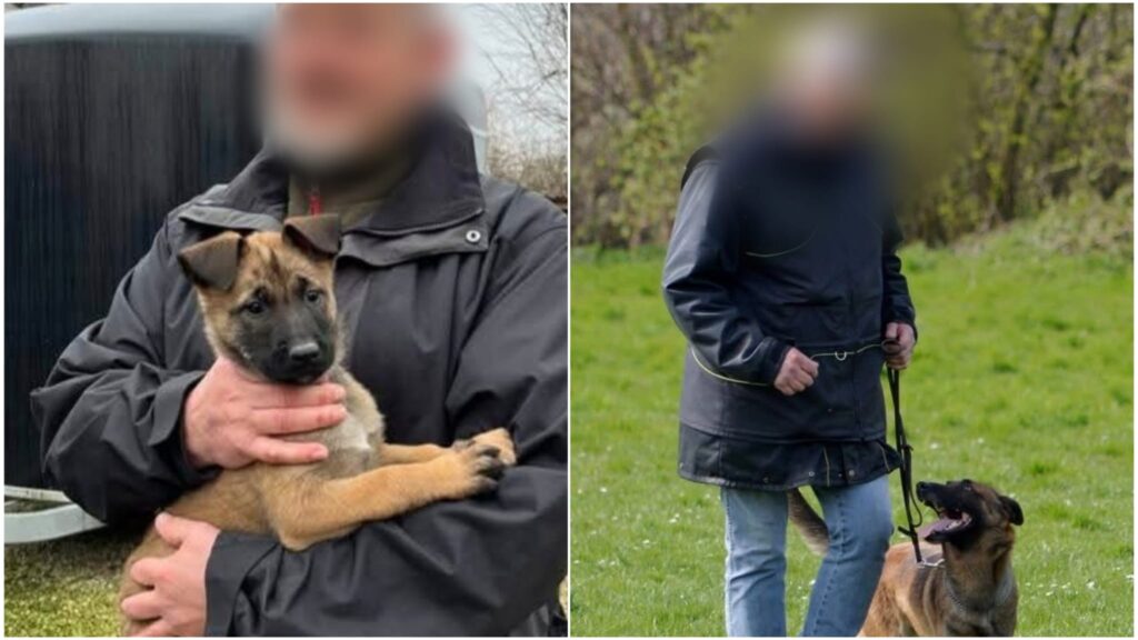 WhatsApp Image 2025 08 03 at 111226jpeg