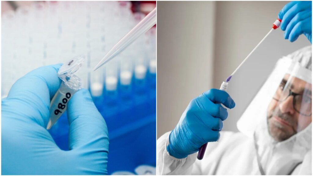 WhatsApp Image 2025 08 09 at 135638jpeg