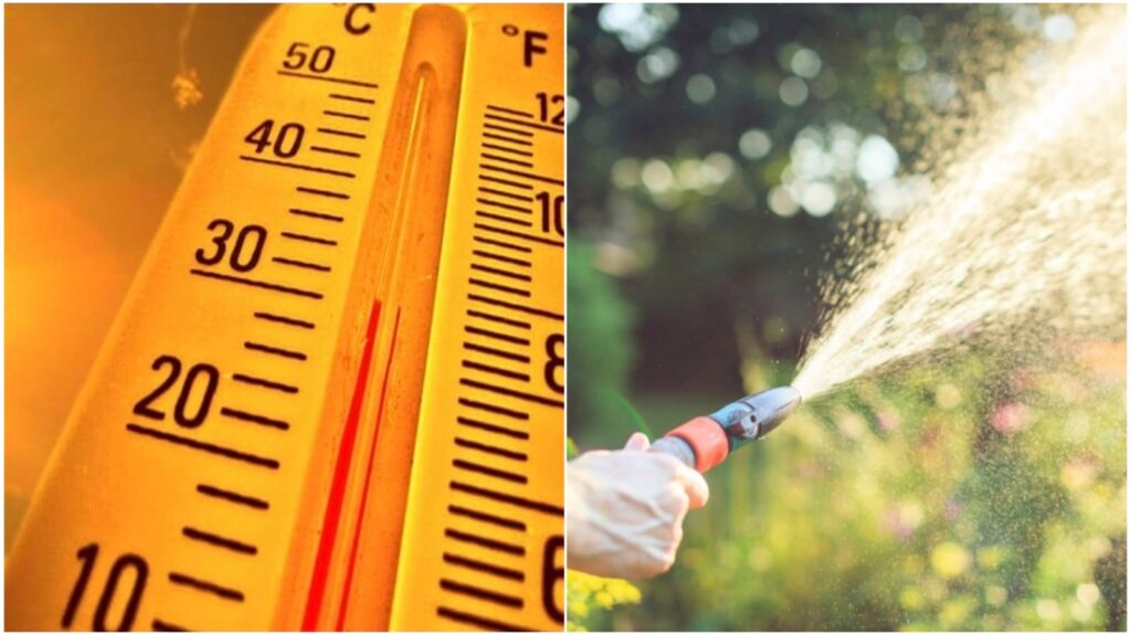 WhatsApp Image 2025 08 11 at 111105jpeg