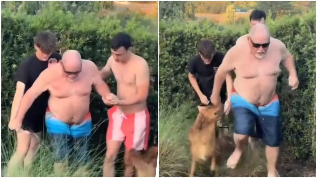 WhatsApp Image 2025 08 12 at 110025jpeg