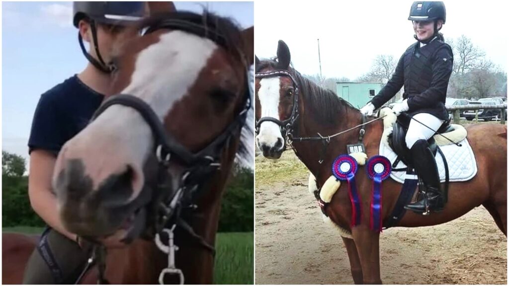 WhatsApp Image 2025 08 12 at 152909jpeg