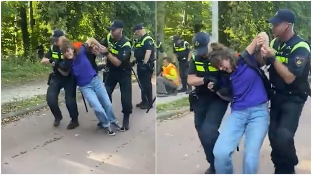 WhatsApp Image 2025 08 14 at 095802jpeg