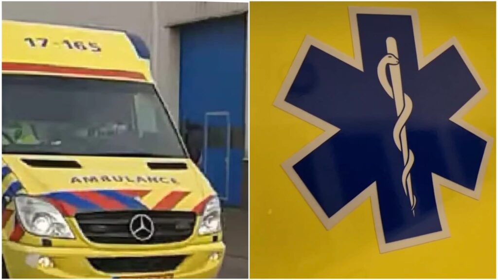 WhatsApp Image 2025 08 14 at 155825jpeg