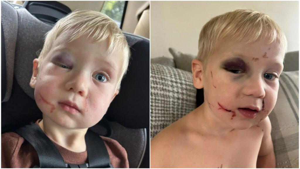 WhatsApp Image 2025 08 31 at 085348jpeg