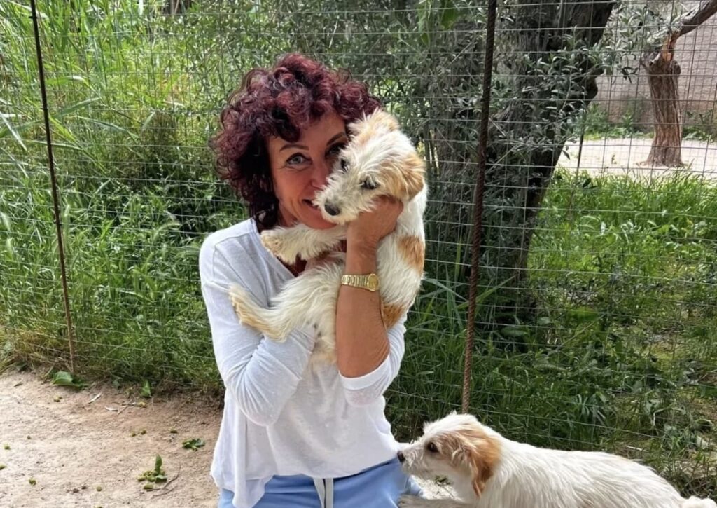 WhatsApp Image 2025 08 31 at 213221 1jpg