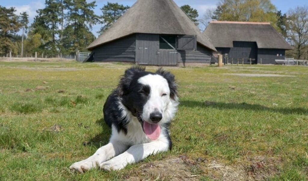 WhatsApp Image 2025 09 13 at 103849jpg