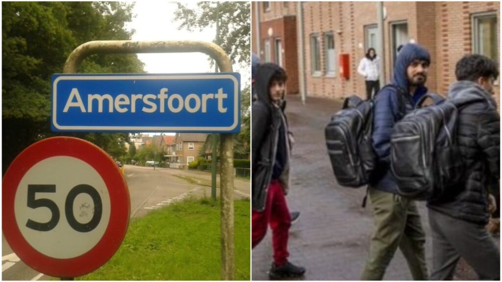 WhatsApp Image 2025 09 19 at 093312jpeg